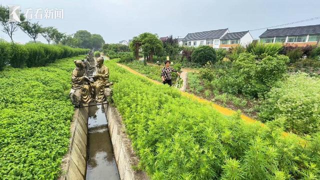 个传统佳节为何能全球圈粉无数j9九游会登录老外也玩嗨！这(图3)