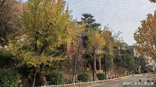 村落藏着东部首家高端旅游度假区养心安心j9九游会(中国)网站泰安：城东有一个(图4)