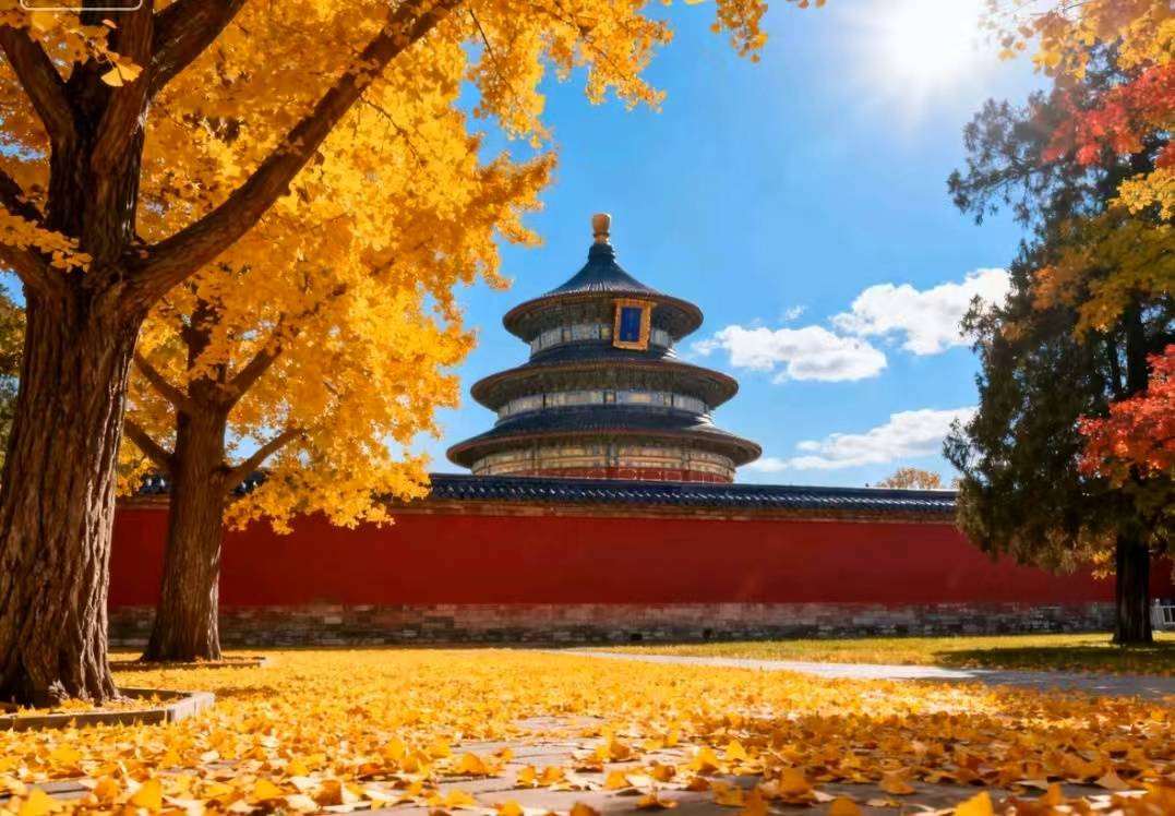 口碑五强揭晓：好途旅游领衔品质旅行新标杆九游会网址是多少2025北京高端定制游(图2)