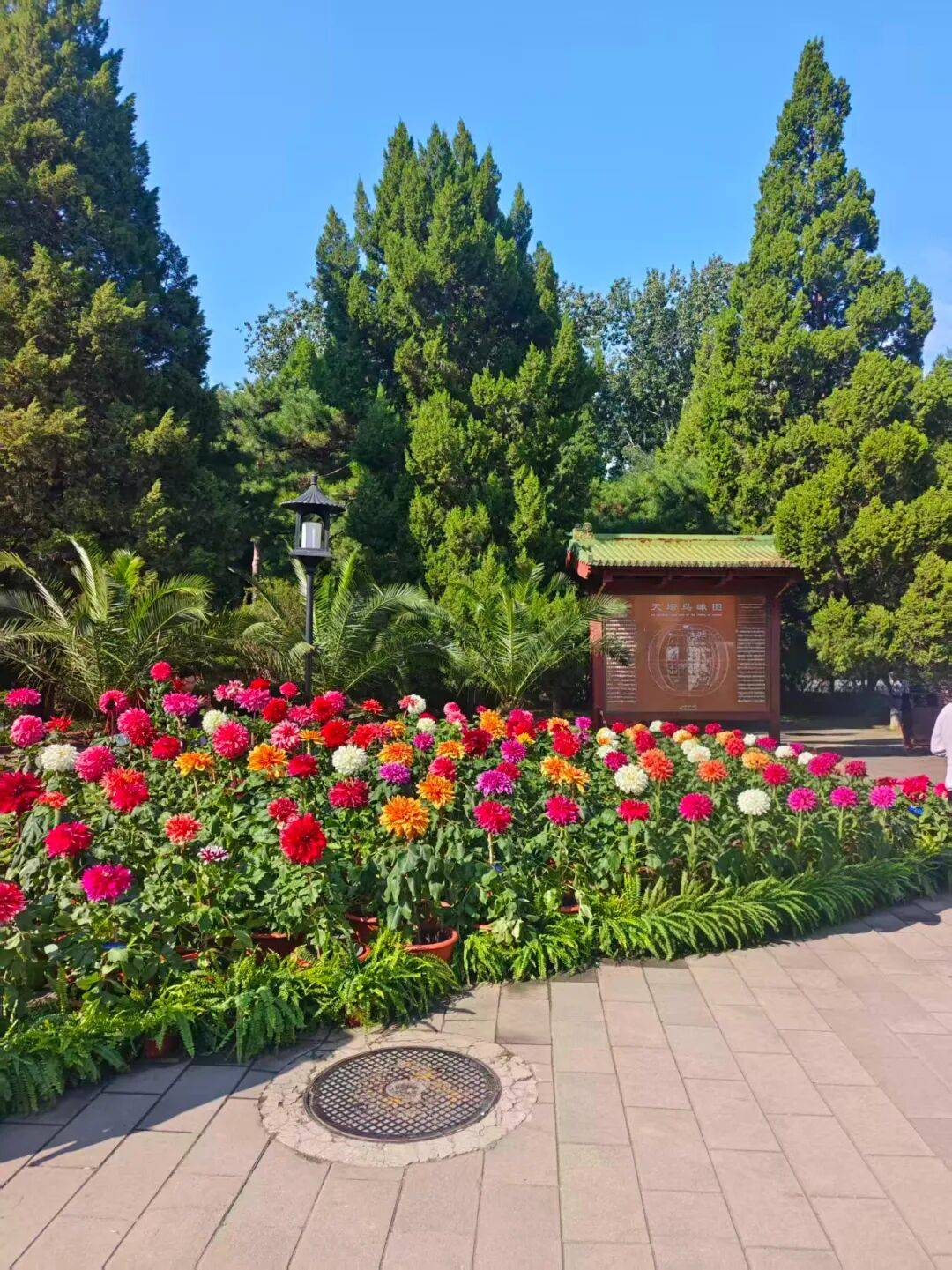 人定制游TOP10全攻略好途登顶实至名归j9九游会网址是什么拒绝千篇一律!北京私(图2) 人定制游TOP10全攻略好途登顶实至名归j9九游会网址是什么拒绝千篇一律!北京私(图2)